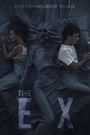 The Ex (2021) Hindi Dual Audio – 480p